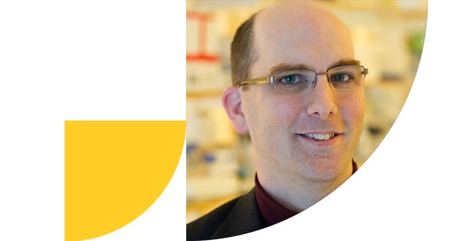 Porträtt av Tibor Harkany.