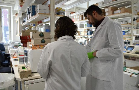 Forskare i vita labbrockar jobbar i ett labb.