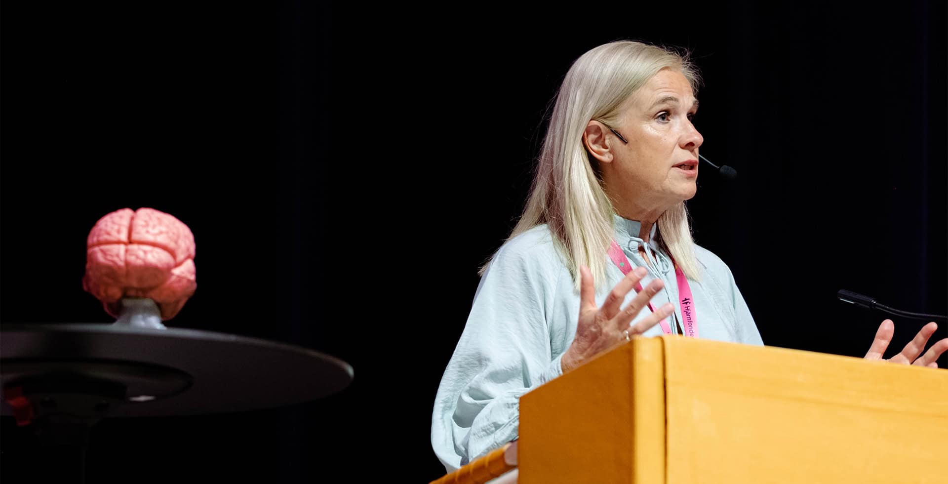 Anna Hemlin talar vid ett podium.