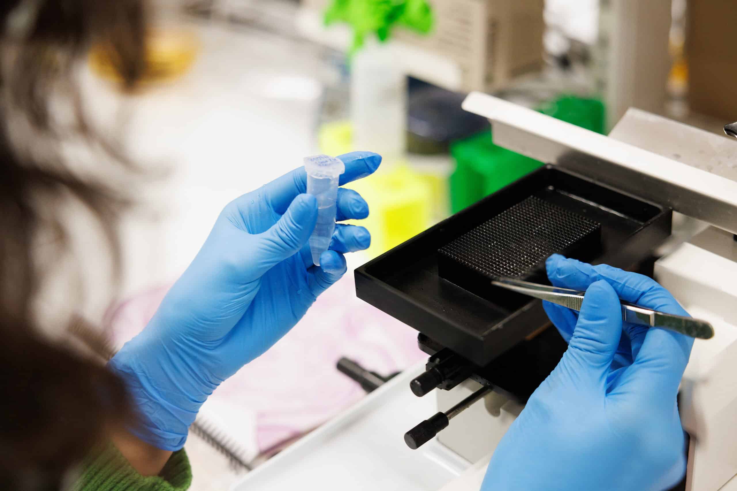 Forskare hanterar provrör i laboratorium.